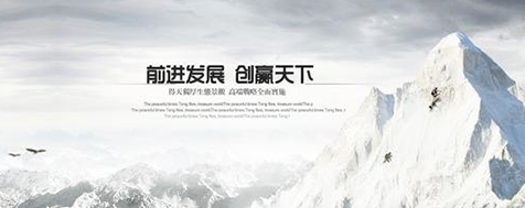 公司简介